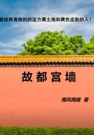 故宫城墙唯美图片