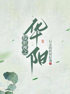综影视之华阳笔趣阁