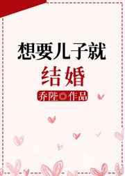 想要儿子就结婚全文免费