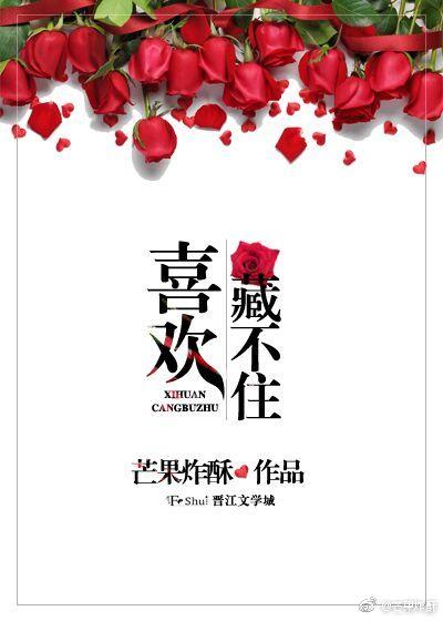 喜欢藏不住免费阅读