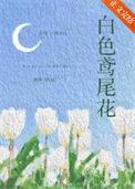 黄花鸢尾图片