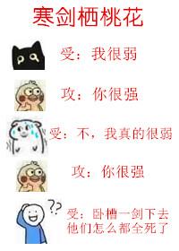 寒剑栖桃花免费完整版
