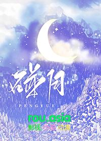 碰瓷公务车