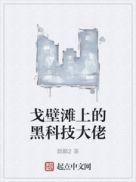 戈壁滩上的黑科技大佬 第6章