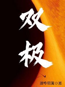 双极刀闸