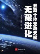 无限进化排行完结