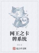 网王系统类