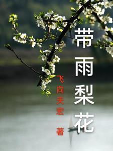 梨花带雨的诗