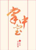 掌中宝pos机