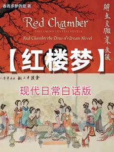 红楼梦 白话