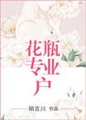 花瓶专业户无防盗无弹窗