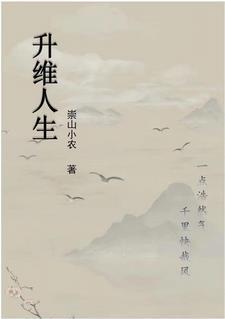 升维人生TXT