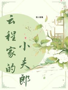 福星小夫郎晋江