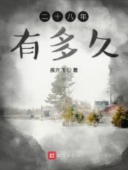 二十八年是什么
