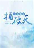 一不小心捅破天在线阅读