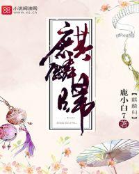 麒麟归来免费全部剧集