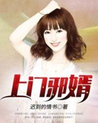 上门邪婿 他日且试天下