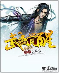 武魂觉醒有第二部吗