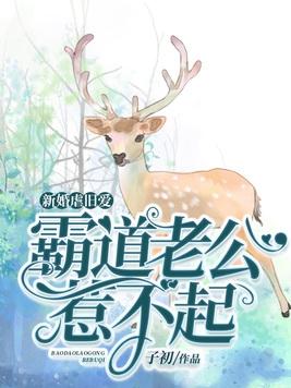 新婚之夜霸道总裁好霸道