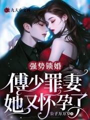 强势锁婚 傅少的