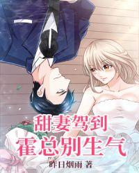 甜妻霍少撩错人