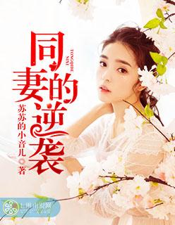 同妻的结局