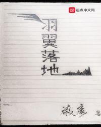羽翼飞舞