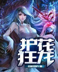 护花狂龙txt电子书