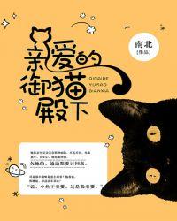 御猫免费阅读
