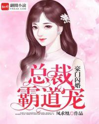 霸道总裁总宠妻