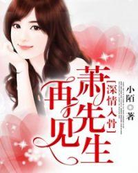 再见先生剧情