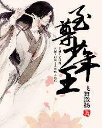 至尊少年王电子书