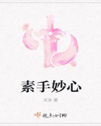 素手匠心 作者沈碧瓷