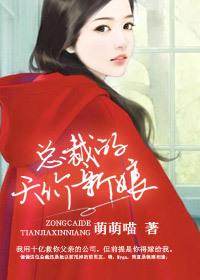 总裁的天价小