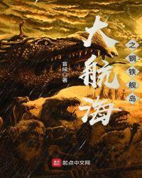 大航海hd船长