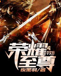 荣耀至尊领先版怎么样