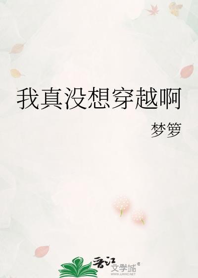 我真没想穿越啊讲什么