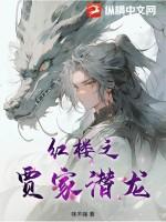 红楼之贾家潜龙txt