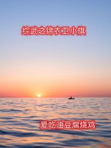 锦衣卫小旗下面是什么