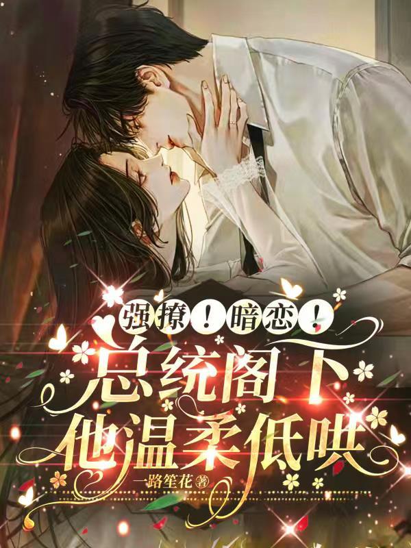总统阁下
