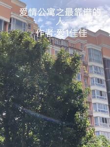爱情公寓里