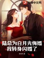 我转身闪婚了大结局