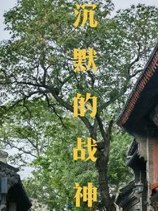沉默战神传奇