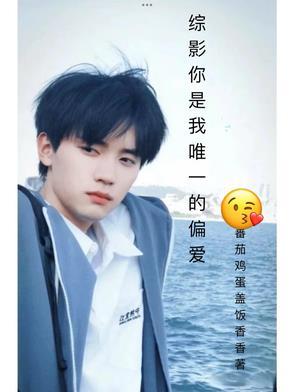 你是唯一也是偏爱