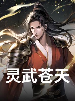 灵武天地