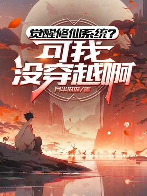 穿越觉醒系统的
