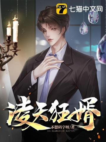 凌天战婿