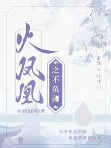 火凤凰之凤凰于飞