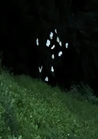 巍然屹立是什么意思
