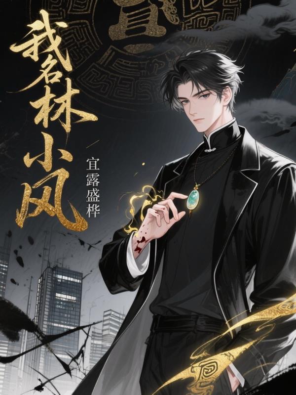 我叫林小喜简介